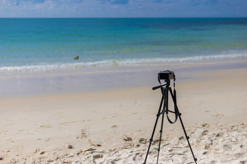 Photography camera on the beach with little butterfly.