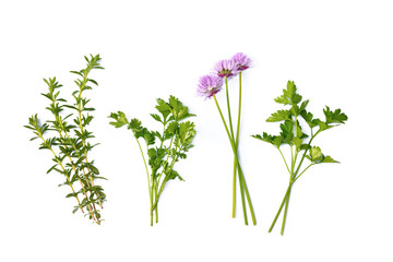 thyme, parsley and shives isolated on white background