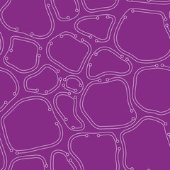 white on violet chaotic ordered abstract seamless pattern. organic cells with thin lines