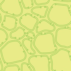 yellow and green chaotic ordered abstract vector texture. organic cells with thin lines
