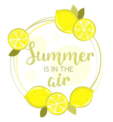 Set of lemons in circle on white background