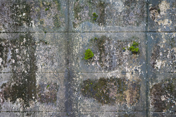 Old gray brick wall texture background