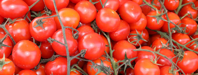 background of red ripe tomatoes