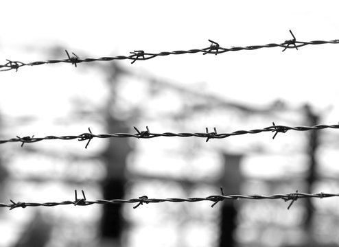barbed wire in black and white effect