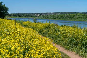 Таруса. Грунтовая дорога вдоль реки Оки.