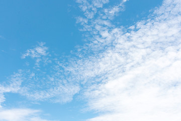 Naklejka na ściany i meble Air clouds in the blue sky.