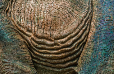 Close up to Colorful and patterns of  dinosaur model surfaces created with cement