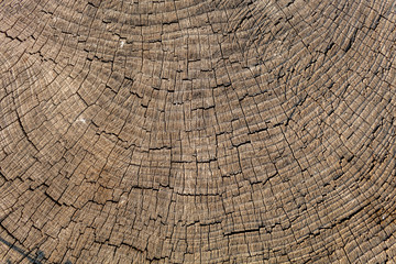 Fototapeta premium Brownish Old Weathered Cracked Wood Texture