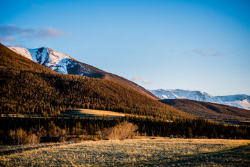 Beautiful spring landscape in Altai