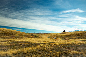 Obraz premium Remarkable scene of dry yellow meadow and snow on high mountains with blue sky and white cloud in South Island landscape, New Zealand.