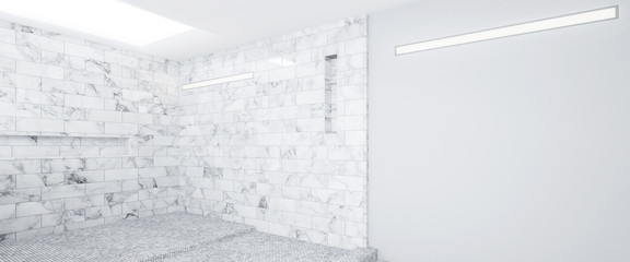 Empty Contemporary Bathroom after Renovation (panoramic) - 3d visualization