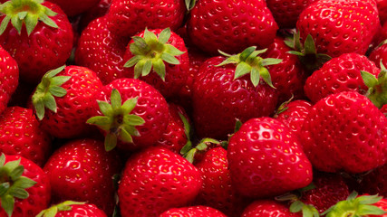 いちご　フルーツ