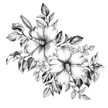 Hand drawn Bunch with  Hibiscus Flowers