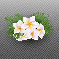 Vector realistic tropical flowers and leaves. Plumeria