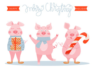 New Year greeting card with funny pigs. Cute pigs with Christmas gift and candy cane. Symbol of 2019 on the Chinese calendar. Vector illustration.