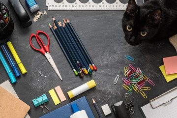 Student home workplace. Top view of school essentials and black cat on chalkboard desk.