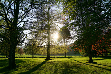 Obraz premium Park neben der Kathedrale in Dunkeld, Schottland