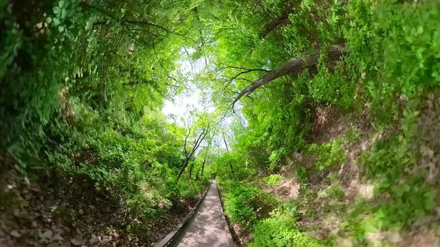 Pocheon, South Korea - 7 May 2019 Korea National Arboretum. Little Planet View of 360 degrees spherical panorama of spring nature in forest.
