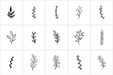 Hand drawn flowers logo elements and icons