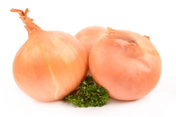 ripe onion