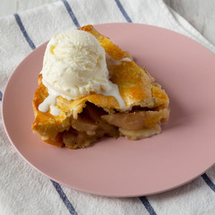 Slice of homemade apple pie with vanilla ice cream on a pink plate, side view. Close-up.