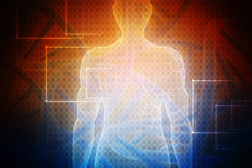 2d illustration Human Male Muscle Body