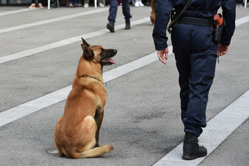 chien gendarme