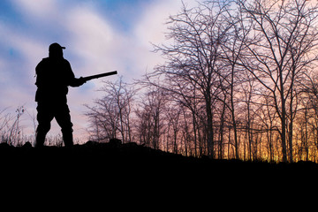 Fototapeta na wymiar Silhouette of a hunter with a gun in the reeds against the sun, an ambush for ducks with dogs 