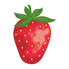 sweet and fresh strawberry fruit