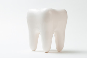 Big tooth model on white background