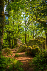 Fototapeta premium Am Bergsee-Felsen