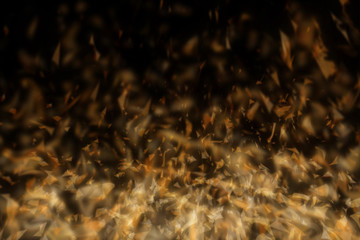 Abstract fire isolated in black.