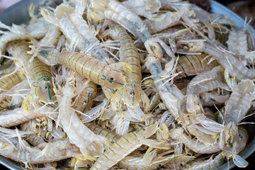 Sea fresh shrimps at street market in Thailand. Seafood concept.