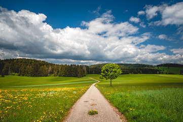 Wanderweg Richtung Grossherrisschwand