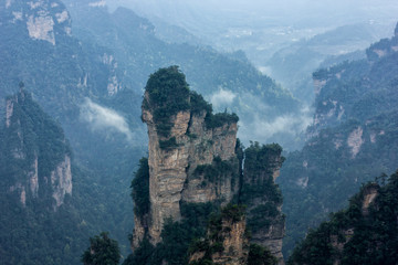 Fototapeta premium pandora avatar