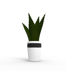 Plants in Pot 3D Rendering