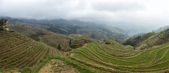 rice terraces