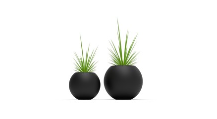 Plants in Pot 3D Rendering