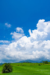 landscape of Ishigaki Island