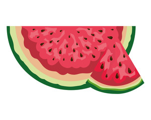 fresh watermelon tropical fruit portion