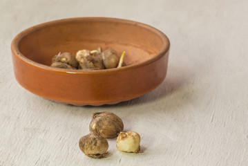 Bulbs of Triteleia or Brodiaea in a ceramic bowl