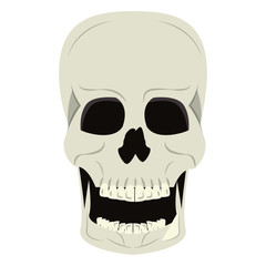 Skull human skeleton cartoon isolated symbol