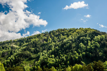 Obraz premium Beautiful spring landscape in Altai 