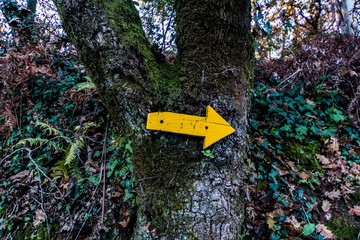 sign in the forest