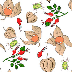 Raster seamless pattern with colored autumn phyisalis, bugs and dogroses  on white background.