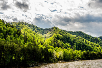 Naklejka premium Beautiful spring landscape in Altai 