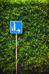Toilet sign in front of tree fence in portrait orientation. Tree is Ficus altissima Blume or Lofty Fig.