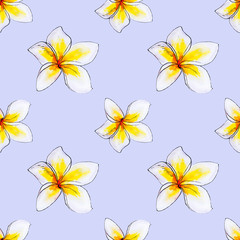Fototapeta na wymiar Seamless pattern from white plumeria flowers. Frangipani. Watercolor painting. Exotic plant. Floral print. Sketch drawing. Botanical composition. Flower painted background. Hand drawn illustration.
