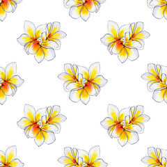 Seamless pattern from white plumeria flowers. Frangipani. Watercolor painting. Exotic plant. Floral print. Sketch drawing. Botanical composition. Flower painted background. Hand drawn illustration.