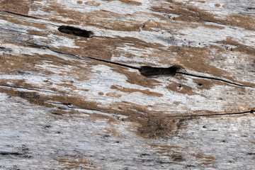 Grunge cracked wood by close up texture background horizontal. Can be used as background for...